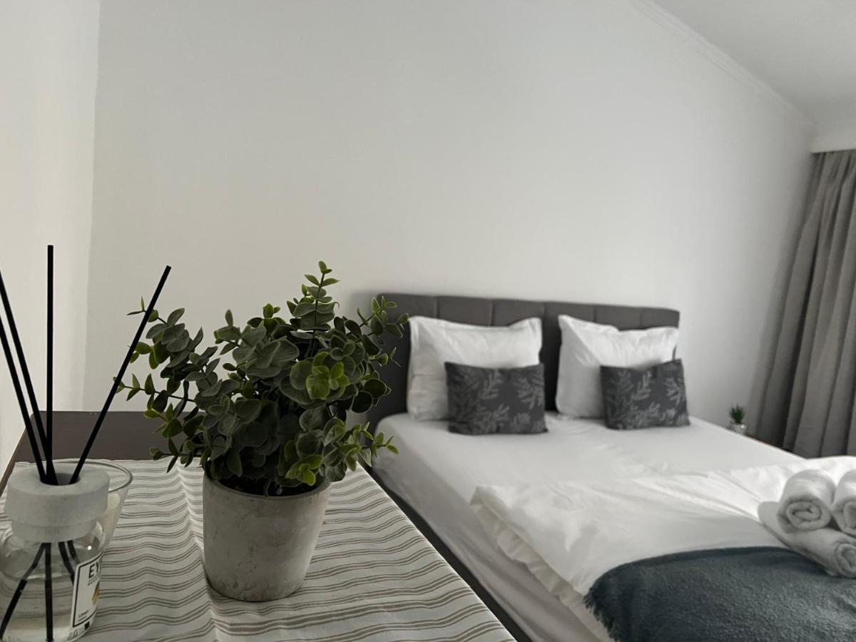 Green Holidays Cluj-Napoca Eksteriør billede