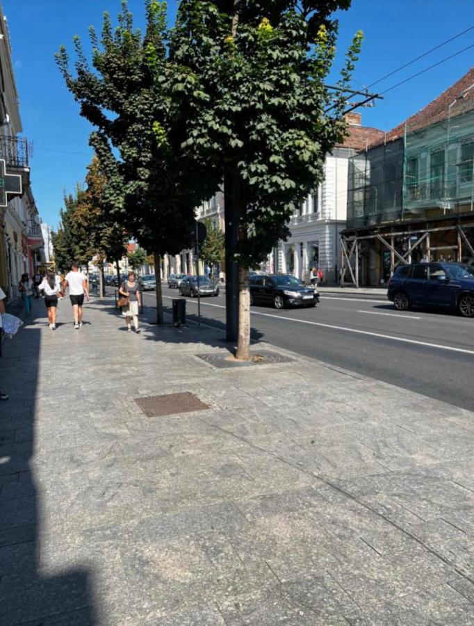 Green Holidays Cluj-Napoca Eksteriør billede